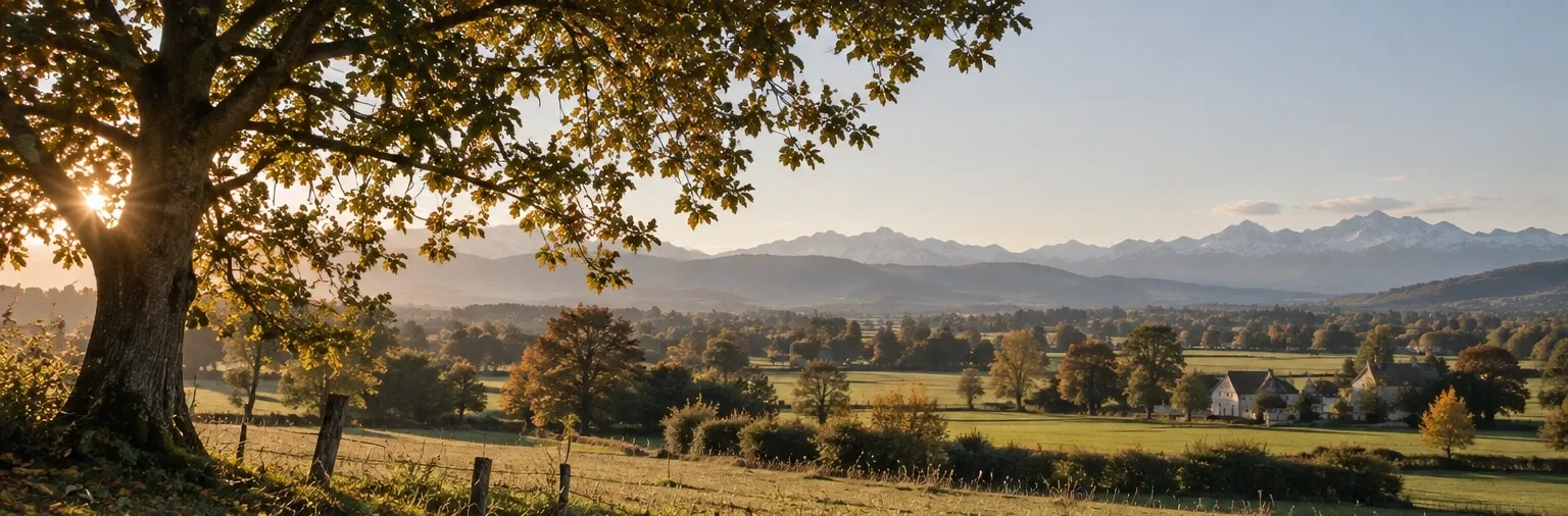 Illustration V7 : paysage de plaine arborée inspiré du Béarn, Pyrénées à l’horizon.